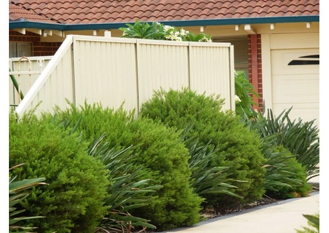 Reveal the Charm of your Property with a Superior Quality Colorbond Fence - 2/2