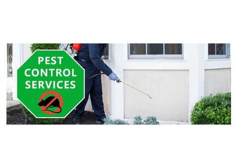 Pest Control Margate - 2/4