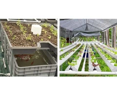 Hydroponics and Aquaponics By Hydroponic Xpress