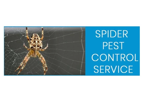 Pest Control Rangeville - 4/4