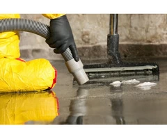 Mould Remediation  | Water Damage | Water Damage Brisbane