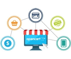 Hire Opencart Programmers for 20% discount