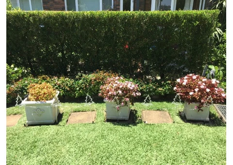The Most Effective Lawn Care in Sydney That Yields Top Quality Results - 3/4