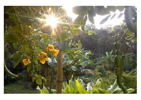 Permaculture Community In Australia