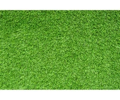 Want to Install Artificial Grass in Your Outdoor Area?
