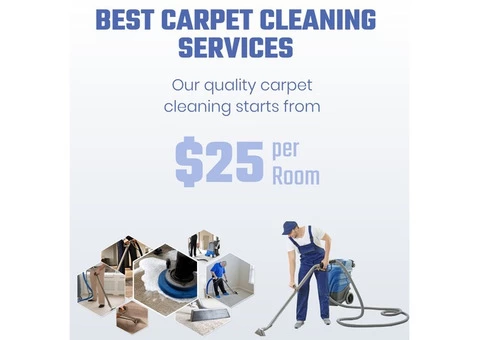 Carpet Cleaning In Brisbane City From $25