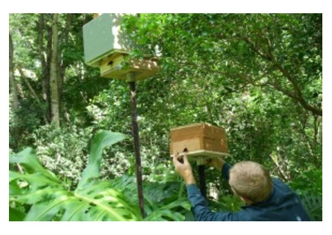 Permaculture Education Onlne