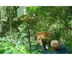 Permaculture Education Onlne