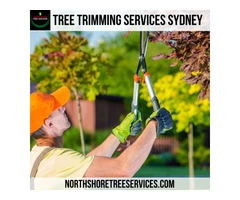 Tree Trimming Services Sydney