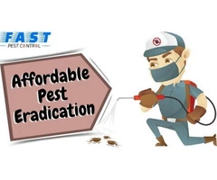 Pest Control East Toowoomba