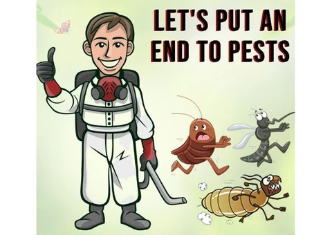 Pest Control East Toowoomba - 2/5