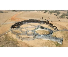 Buy Permanent Cattle Yards