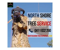 Expert Tree Services by North Shore Tree Services