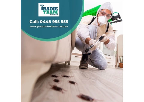 Pest Control in Keysborough by Experts