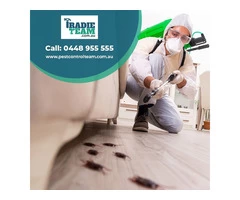 Pest Control in Keysborough by Experts