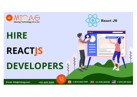 Reactjs Development Company