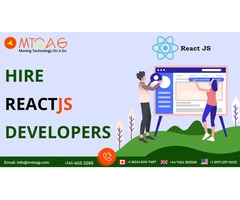 Reactjs Development Company