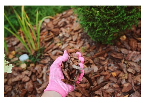 Highly Professional Gardening Services from Kensington - Call Us Now! - 2/4