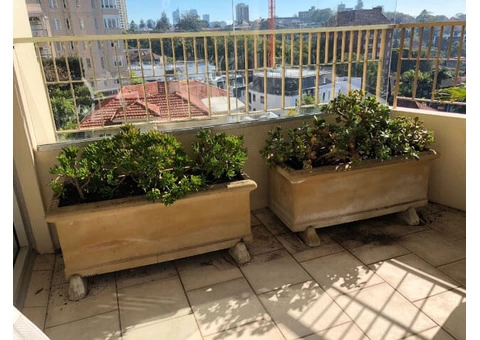 Highly Professional Gardening Services from Kensington - Call Us Now! - 3/4