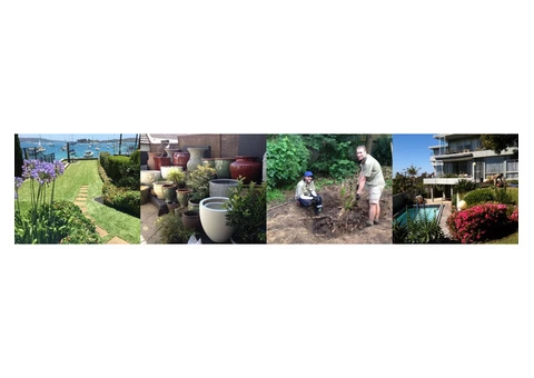 Highly Professional Gardening Services from Kensington - Call Us Now! - 4/4