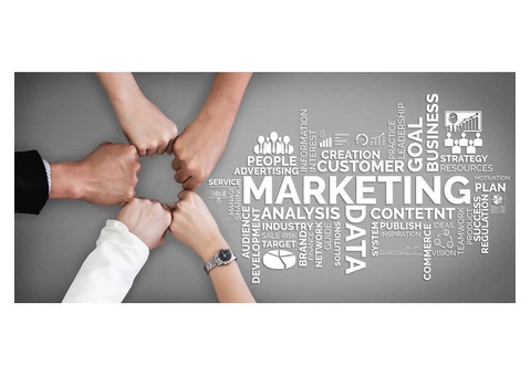 Afraid of Investing Efforts in your marketing? Trust SEO | Webplanners - 1/3