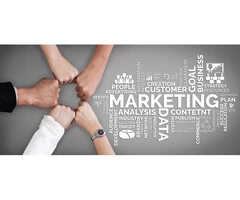 Afraid of Investing Efforts in your marketing? Trust SEO | Webplanners