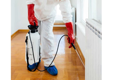 Pest Control Doreen - 3/5