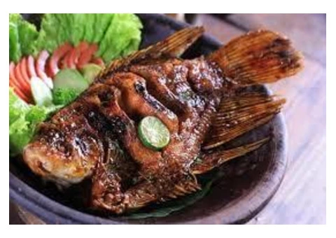 Get 15% off Gv Food Court,Use Code OZ05 - 3/4