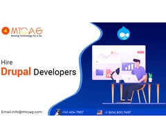 Drupal Development Company