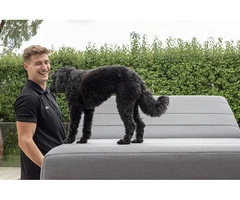 Best Home Moving Services in Melbourne | Local Removalist Melbourne | ProMove Transport