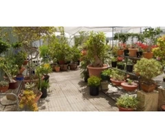 Top 4 Advantages of Hydroponics!!!