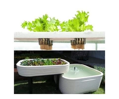 Best Aquaponics Product in Australia