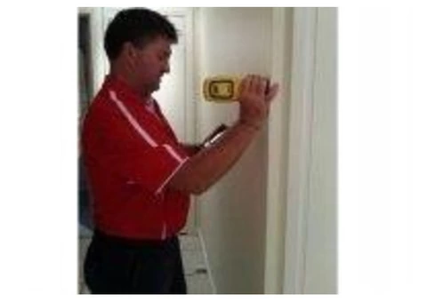 Are you looking for termite control specialist? - 2/2