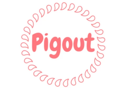 How Small companies Choose The Business Software program Solution-Pigout