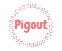 How Small companies Choose The Business Software program Solution-Pigout