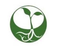 Indoor Office Plants Melbourne | Luwasa Indoor Plant Hire