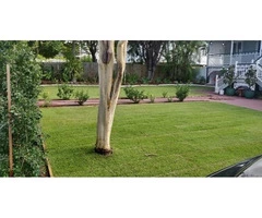 Quality Empire Zoysia Turf Service - Rogers Little Loaders.