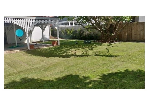 312 Square meter re-turfing Project on April 12 - Rogers Little Loaders. - 4/4