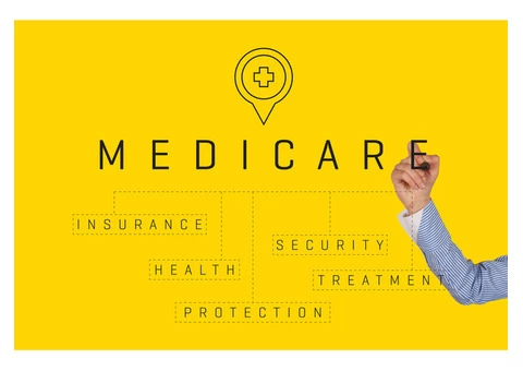 Looking for Bulk Bill Dentist in Carrum Downs?