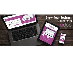 Hire professional Odoo Consultants for your company