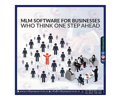 MLM Software Company In Noida.