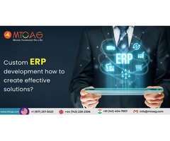 Custom ERP development