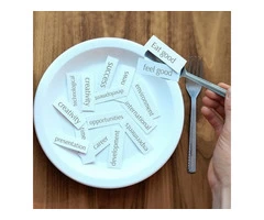 THE STANDARD MHFA COURSE FOR INDIVIDUAL ADULTS OVER 18