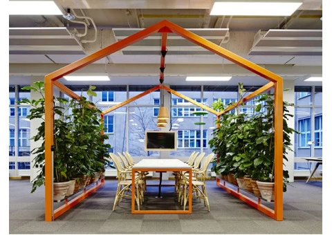 Buy Office Plants | Inscape Indoor Plant Hire