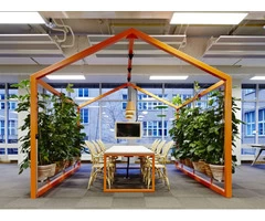 Buy Office Plants | Inscape Indoor Plant Hire