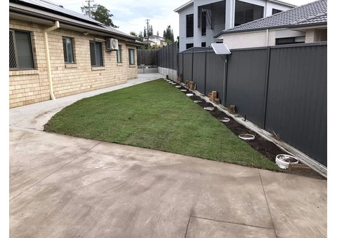 Fresh empire zoysia feels on June 14 in Slacks Creek, Queensland - 1/3