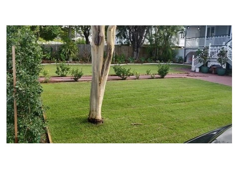 Quality Empire Zoysia Turf Service - Rogers Little Loaders. - 1/4