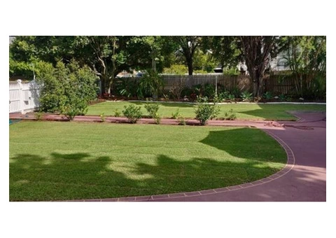 Quality Empire Zoysia Turf Service - Rogers Little Loaders. - 4/4