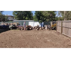 Backyard clearing on May 3 in Ipswich - Rogers Little Loaders