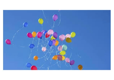 Balloon Garland in Brisbane